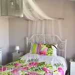 Nikola's House