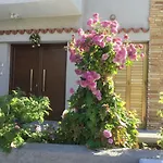 Nikola's House *