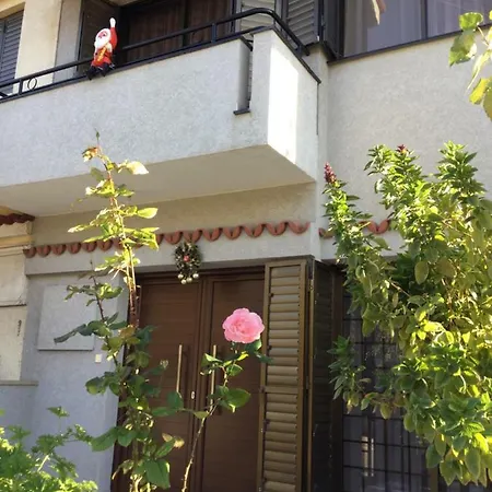 Nikola's House 利马索尔