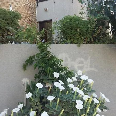 Nikola's House Limasol