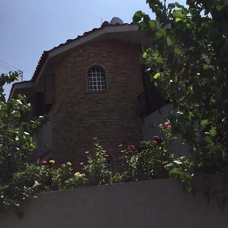 Nikola's House