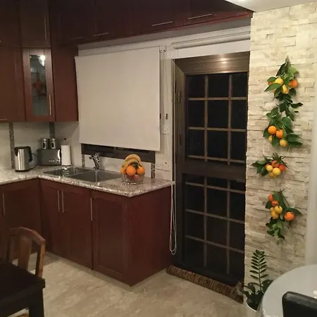 Nikola's House