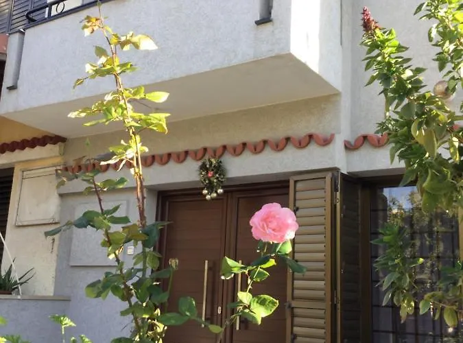 Nikola's House Limisso