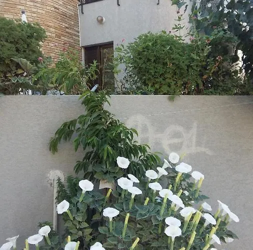 Nikola's House Limisso