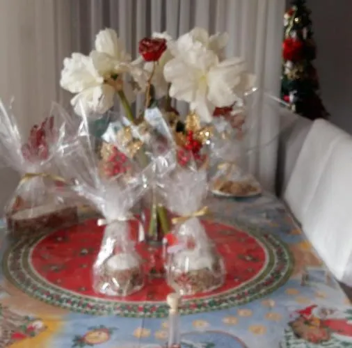 Nikola's House Limassol