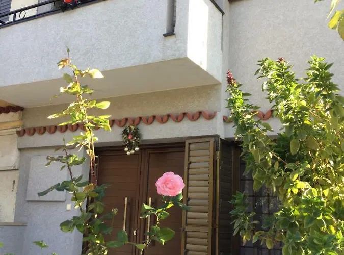 Nikola's House Limisso