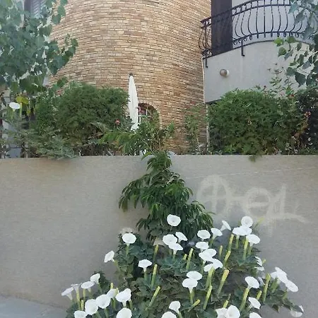 Nikola's House